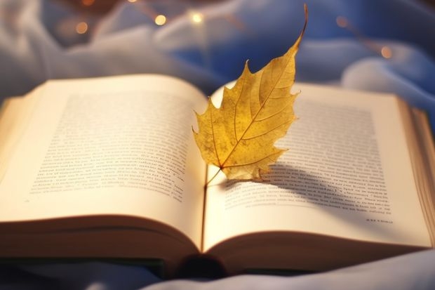 杭州师范大学艺术类分数线是多少?