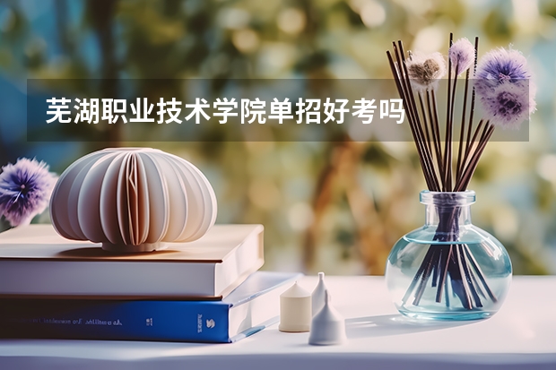 芜湖职业技术学院单招好考吗