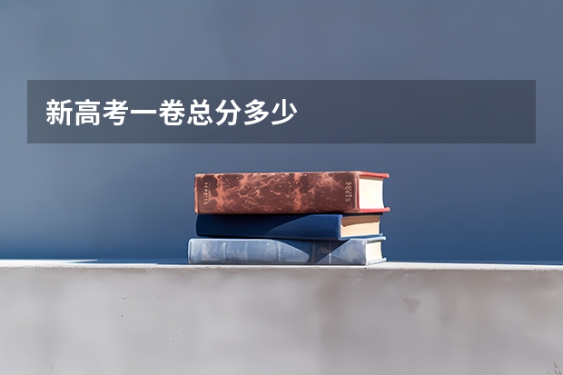 新高考一卷总分多少