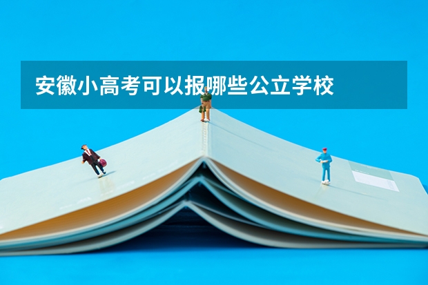 安徽小高考可以报哪些公立学校