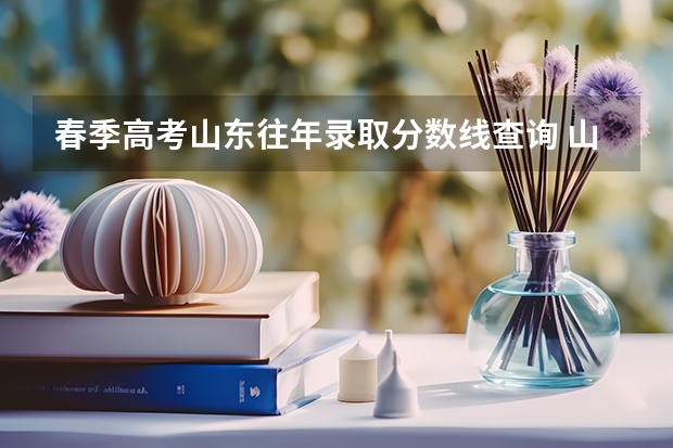春季高考山东往年录取分数线查询 山东文化产业职业学院春考录取线