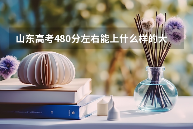 山东高考480分左右能上什么样的大学