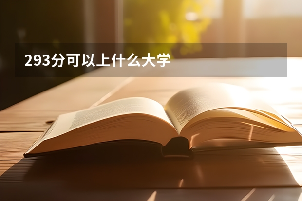 293分可以上什么大学