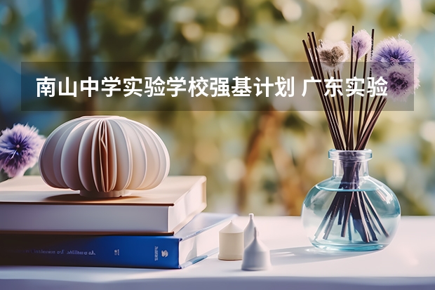 南山中学实验学校强基计划 广东实验中学南山班高考成绩