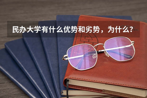民办大学有什么优势和劣势,为什么?