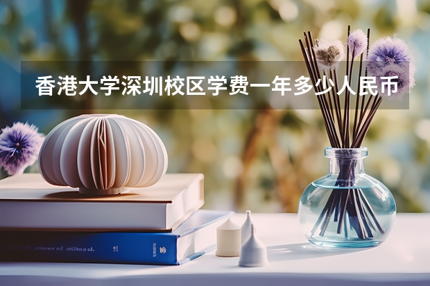 香港大学深圳校区学费一年多少人民币