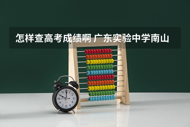 怎样查高考成绩啊 广东实验中学南山班高考成绩