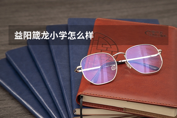 益阳箴龙小学怎么样