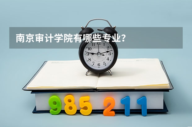 南京审计学院有哪些专业？