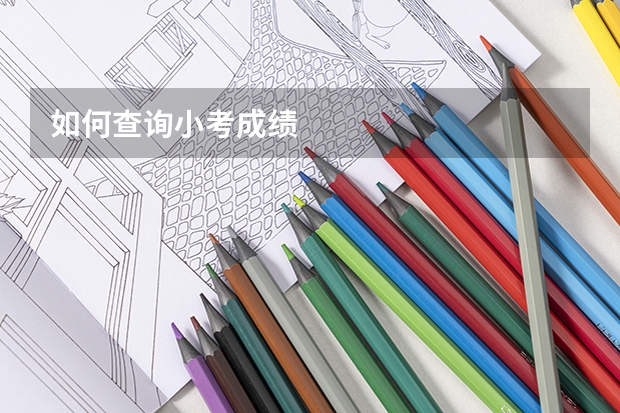 如何查询小考成绩