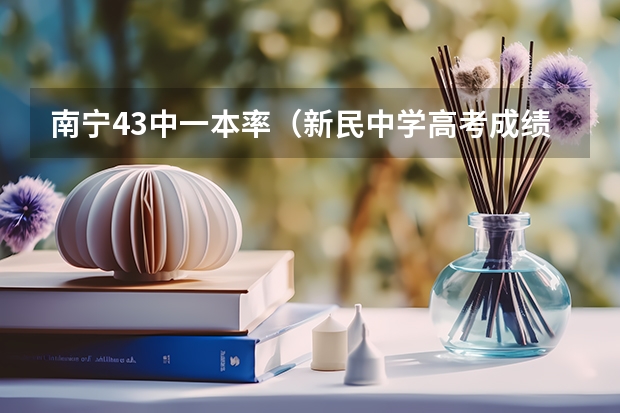 南宁43中一本率(新民中学高考成绩)