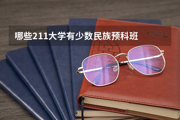 哪些211大学有少数民族预科班