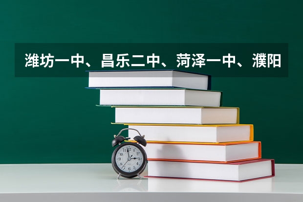 潍坊一中、昌乐二中、菏泽一中、濮阳油田一中哪个好些？