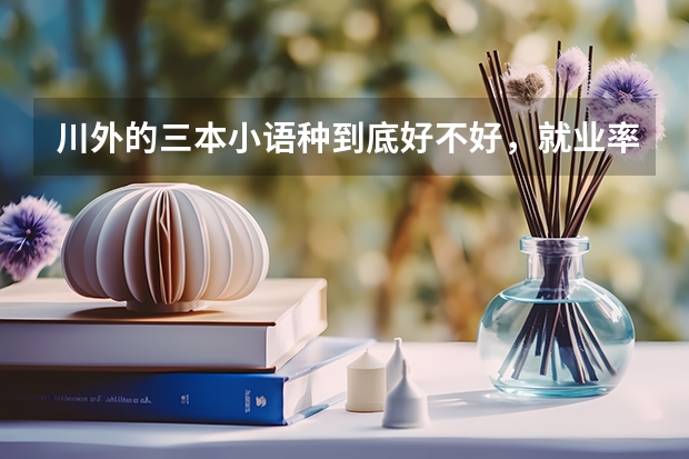 川外的三本小语种到底好不好，就业率如何？是二本的英语好还是三本的小语种好？