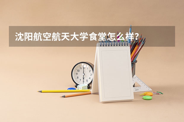 沈阳航空航天大学食堂怎么样？