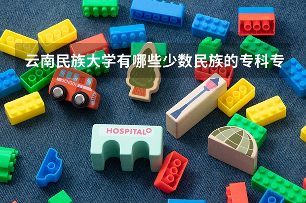 云南民族大学有哪些少数民族的专科专业