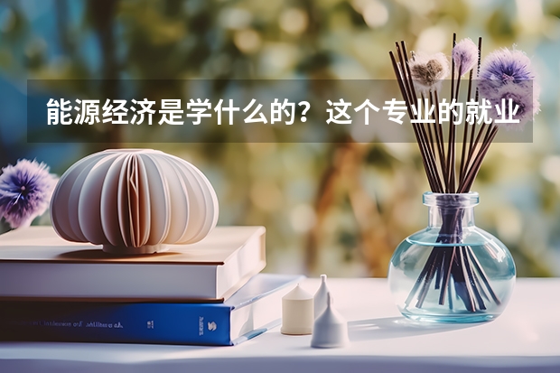 能源经济是学什么的？这个专业的就业方向有哪些？