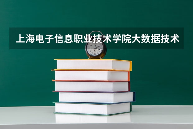 上海电子信息职业技术学院大数据技术专业包括哪些