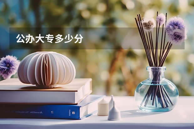 公办大专多少分