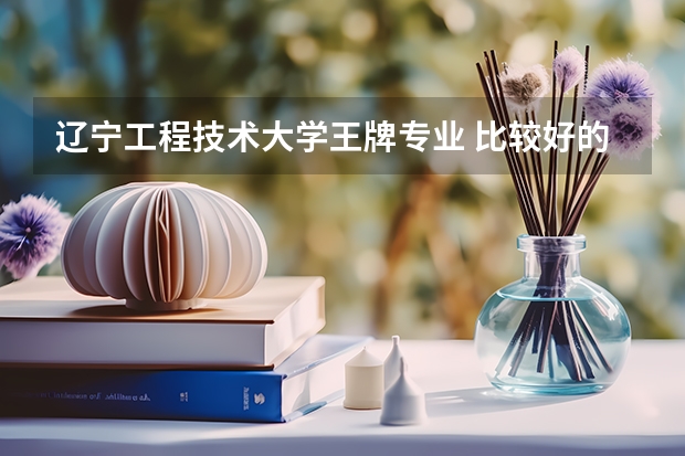 辽宁工程技术大学王牌专业 比较好的特色专业名单(辽宁工程技术大学和辽宁科技大学)