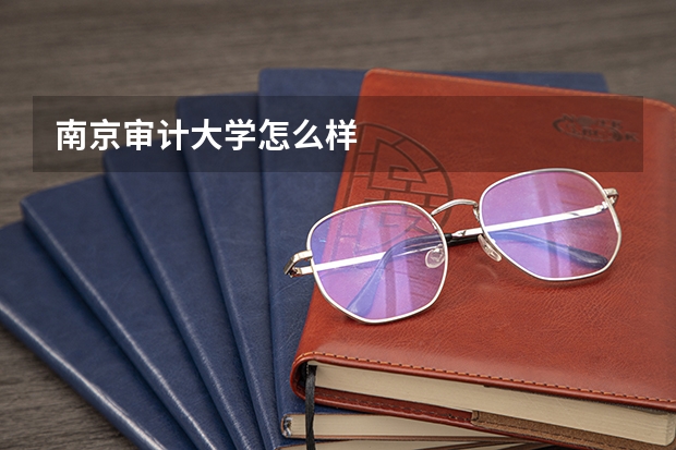 南京审计大学怎么样