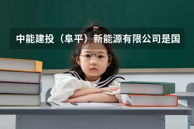 中能建投（阜平）新能源有限公司是国企吗？