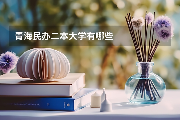 青海民办二本大学有哪些