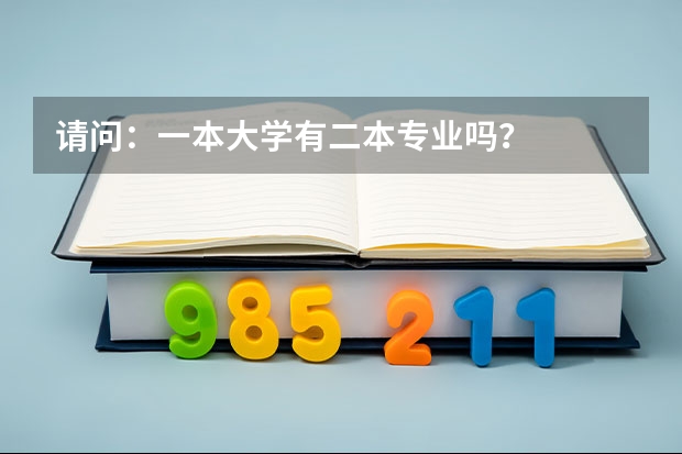 请问：一本大学有二本专业吗？