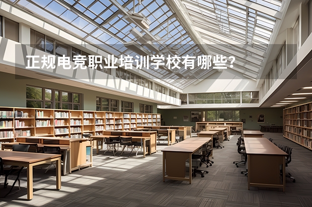 正规电竞职业培训学校有哪些?