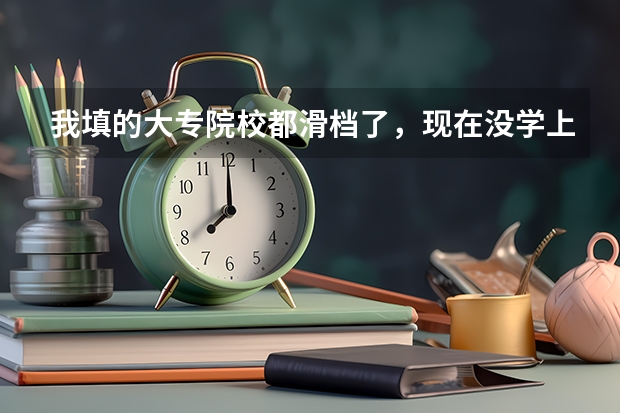 我填的大专院校都滑档了,现在没学上,该怎么办