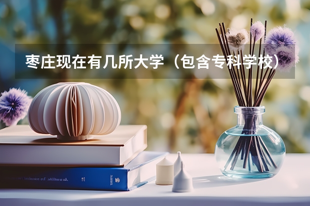 枣庄现在有几所大学(包含专科学校),名字是什么