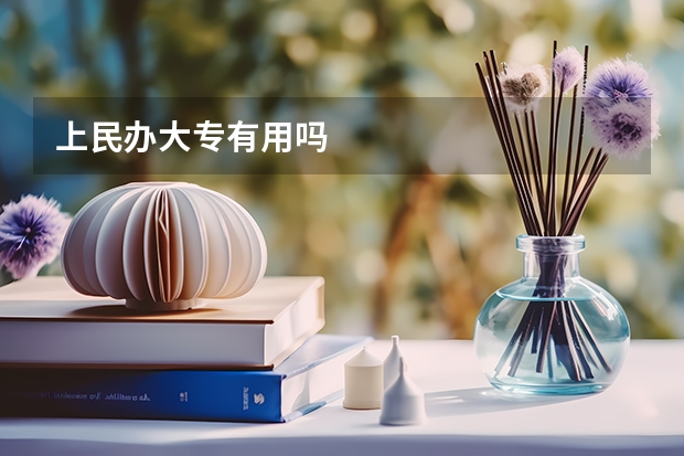 上民办大专有用吗
