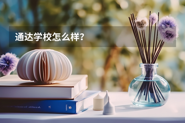 通达学校怎么样?