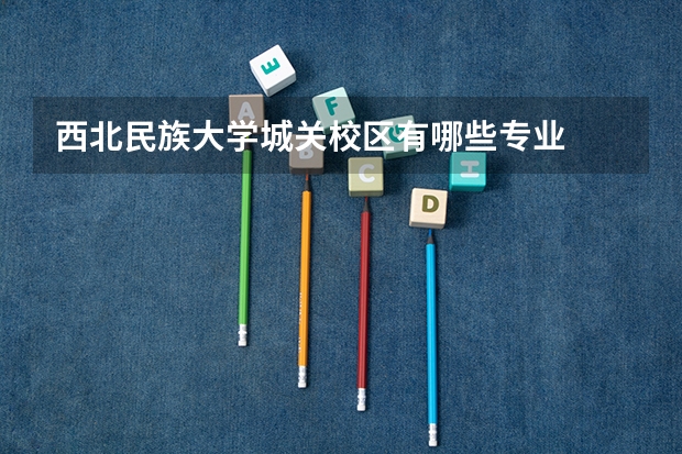 西北民族大学城关校区有哪些专业