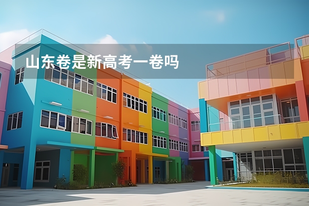 山东卷是新高考一卷吗