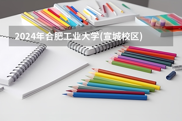 2024年合肥工业大学(宣城校区)在山东招生怎么样