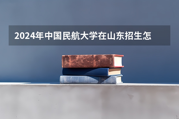 2024年中国民航大学在山东招生怎么样
