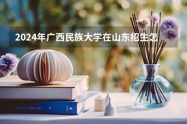 2024年广西民族大学在山东招生怎么样