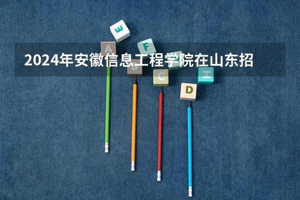 2024年安徽信息工程学院在山东招生怎么样