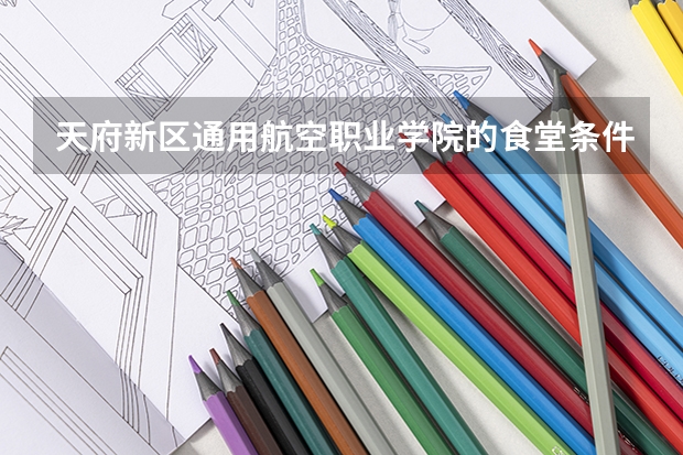 天府新区通用航空职业学院的食堂条件怎么样