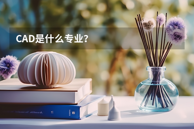 CAD是什么专业?