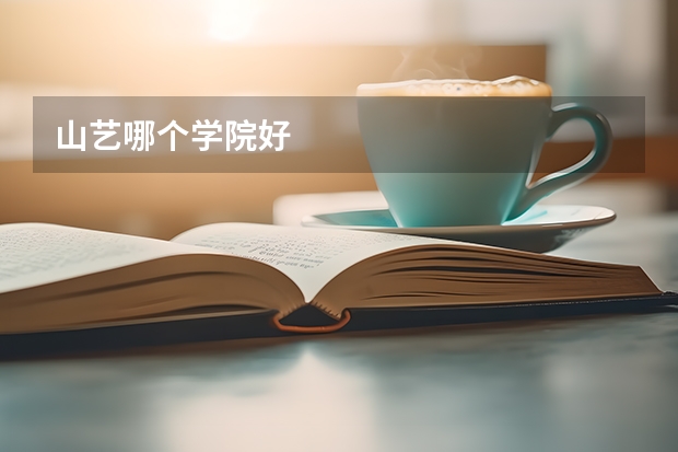 山艺哪个学院好