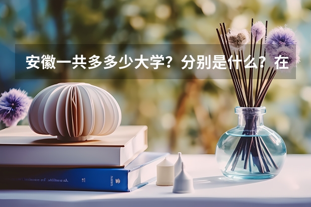 安徽一共多多少大学？分别是什么？在哪里？什么学历？
