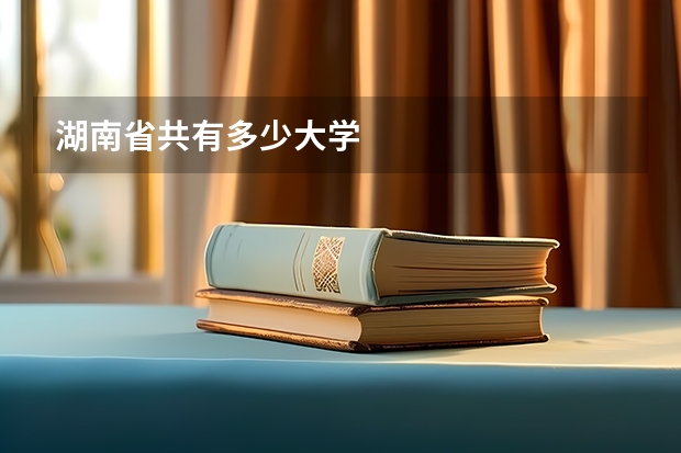 湖南省共有多少大学
