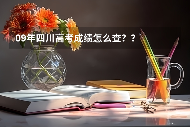 09年四川高考成绩怎么查??