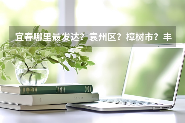 宜春哪里最发达?袁州区?樟树市?丰城市?还是?数据有吗?
