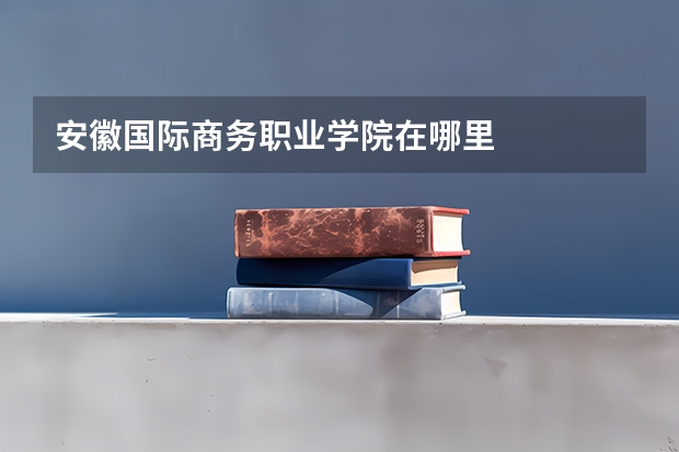 安徽国际商务职业学院在哪里