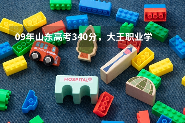 09年山东高考340分，大王职业学院通知来了，不想去，怎么办