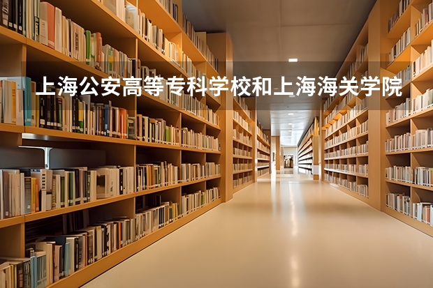 上海公安高等专科学校和上海海关学院哪个毕业后可以直接做警察？