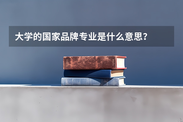 大学的国家品牌专业是什么意思？